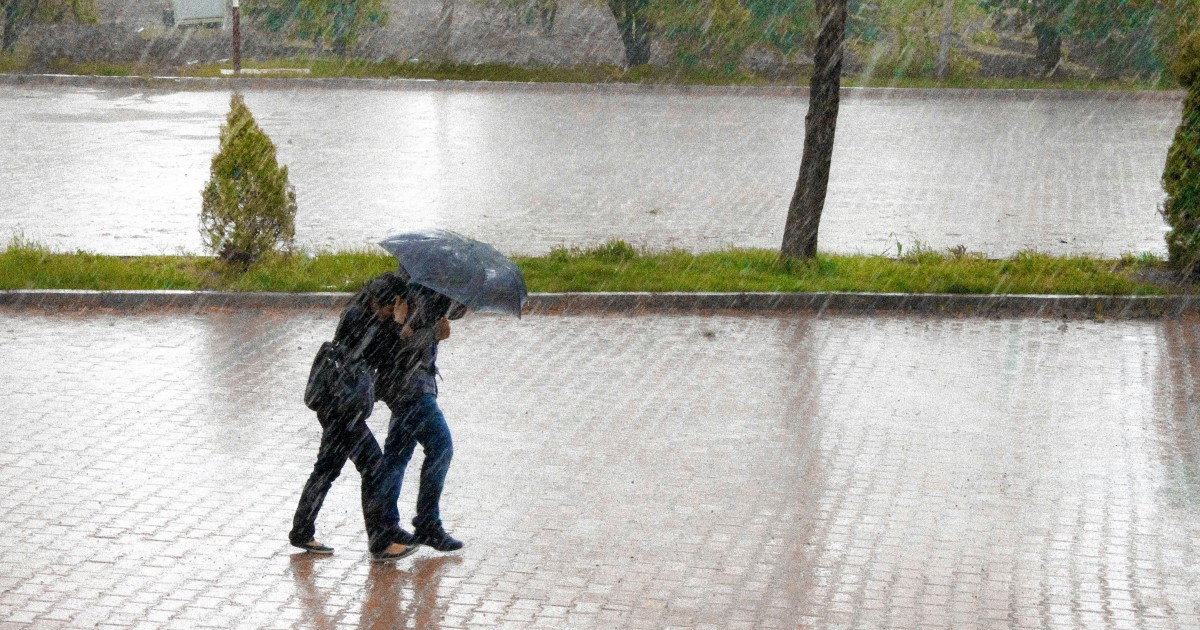 暗い梅雨空の後に来る晴れ空は、心をいつも以上に晴れやかにしてくれるなあとしみじみ