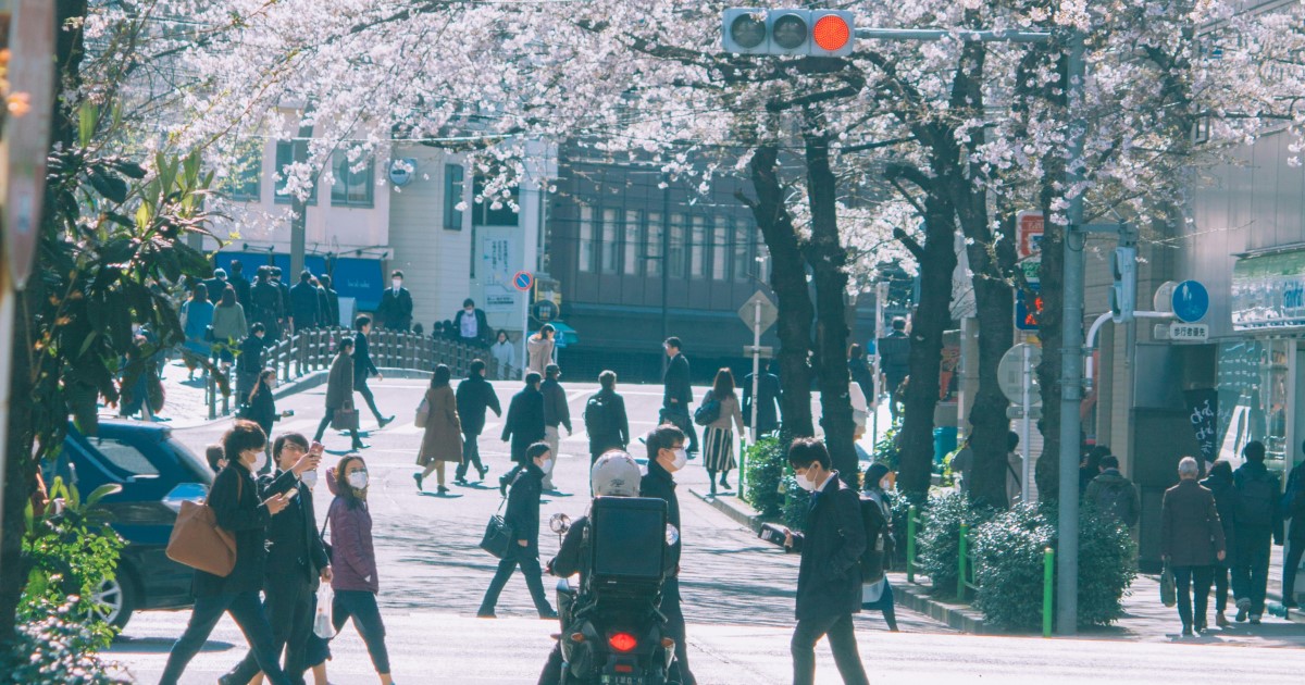 日本人が減っていくという実感は数字の上からも段々と湧いてくるわけでして