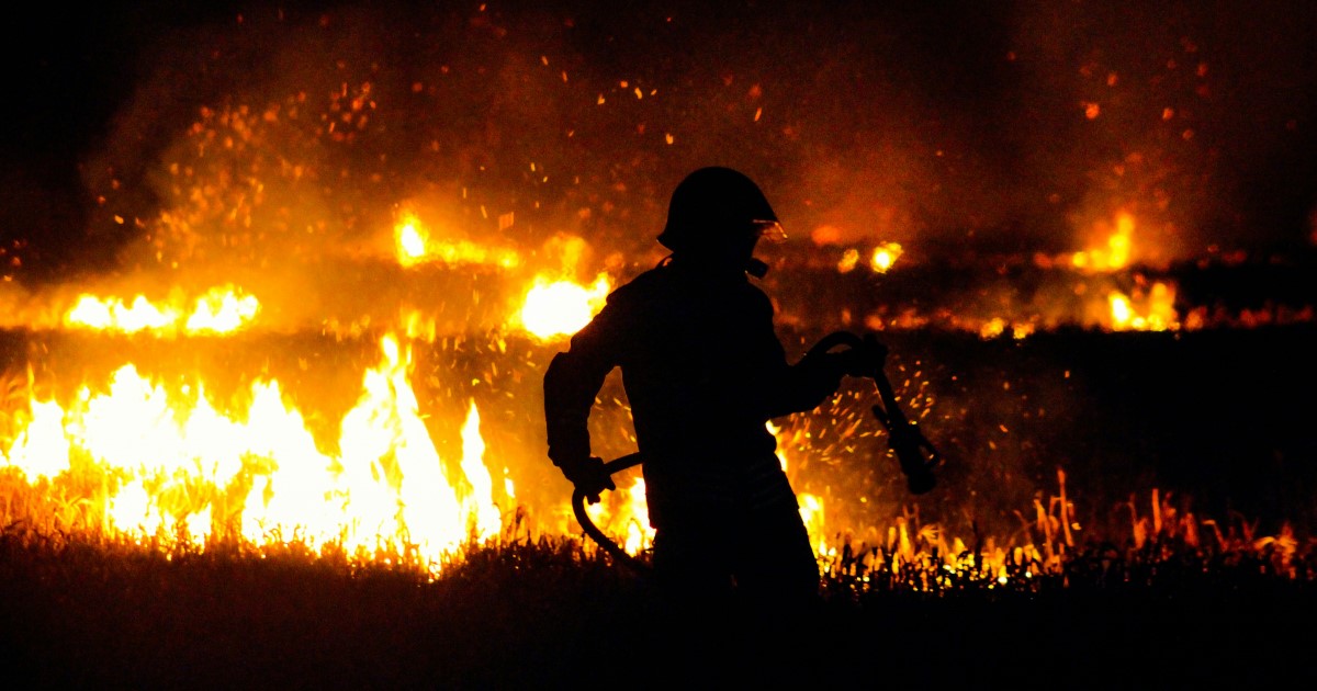 ロサンゼルスの山火事のニュースを見ていて考えたこと