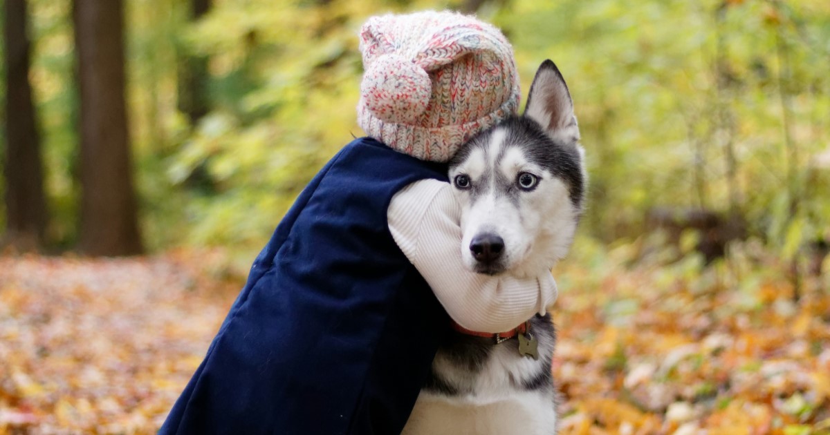 ペット（犬とか）を飼っている人たちは裕福に見えたりもしますので…